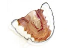 Orthodontics